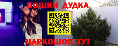 шишки Конаково