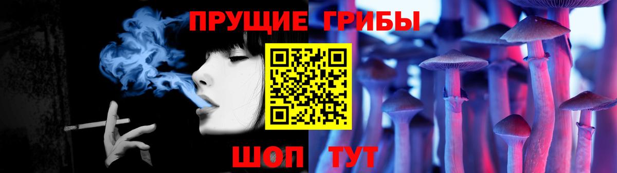 Псилоцибиновые грибы Magic Shrooms Карачаевск
